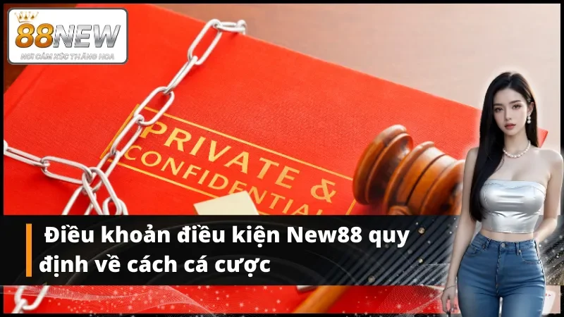 Nguyên tắc cá cược trong điều khoản điều kiện New88
