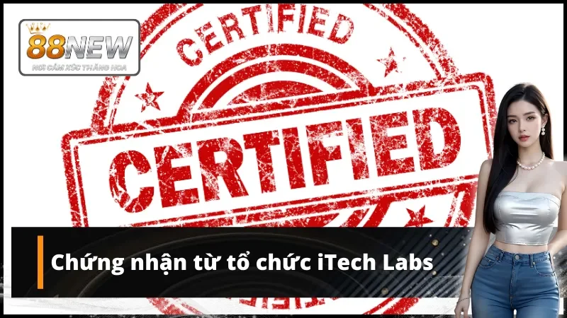 Giấy phép hoạt động New88 không thể thiếu