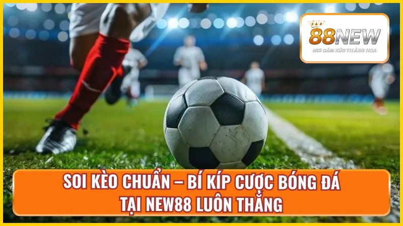 Bí kíp cược bóng đá chỉ có tại NEW88
