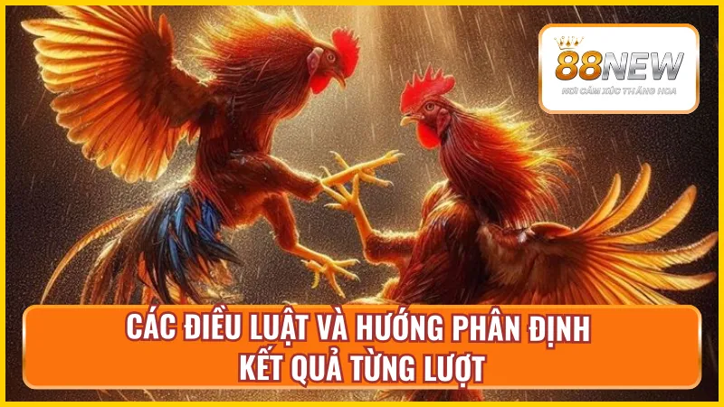 Nội dung luật thi đấu và phương pháp xác lập người chiến thắng