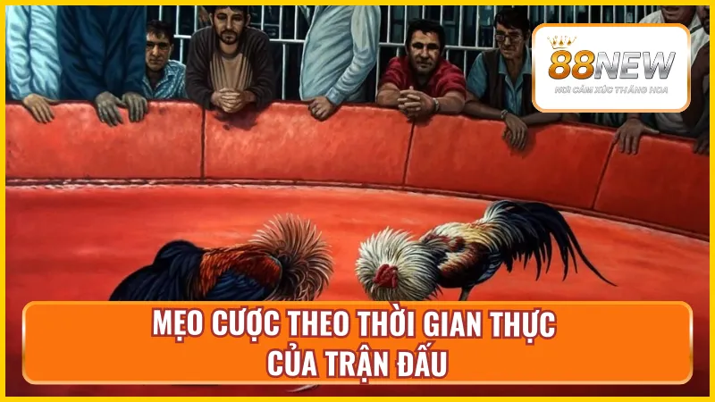 Mẹo chiến thắng mọi trận đá gà trực tiếp tại NEW88