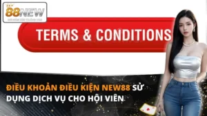 dieu-khoan-dieu-kien-new88-thumnail