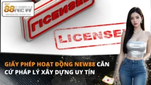 giay-phep-hoat-dong-new88-thumnail