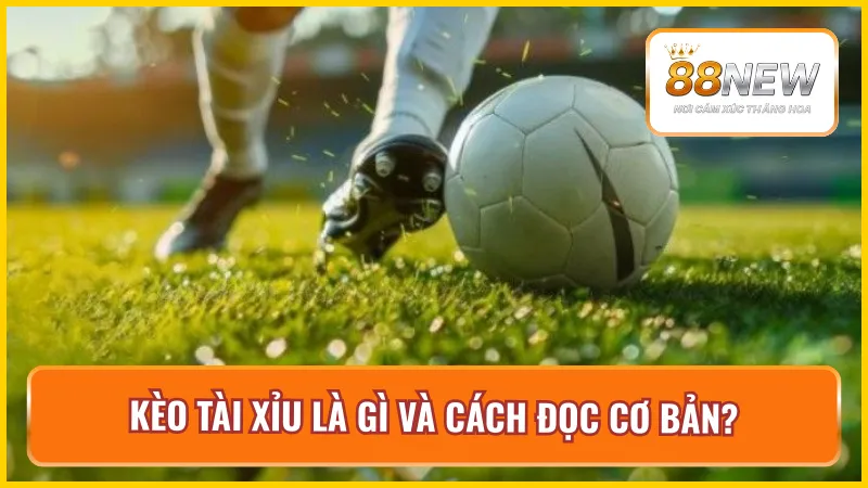 Nắm rõ nhanh về thông tin về kèo tài xỉu