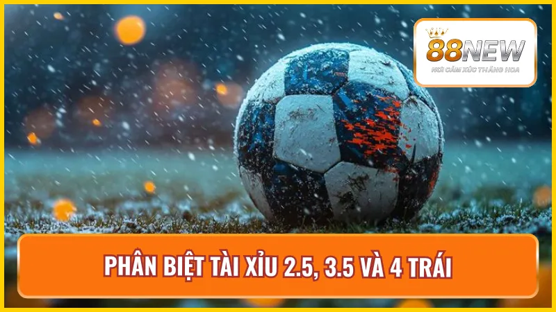 So sánh chi tiết kèo cược tài xỉu 2.5, 3.5 và 4 trái dễ hiểu