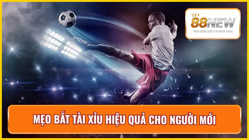 Danh sách mẹo bắt kèo tài xỉu thông minh dành cho mọi người
