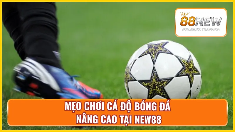 Mẹo chơi cá độ bóng đá New88 dễ thắng mức nâng cao