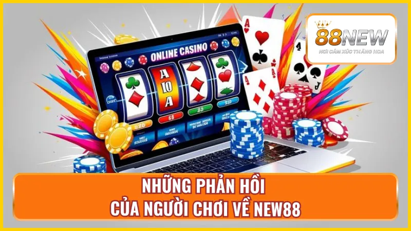 Những phản hồi nổi bật tích cực tại New88