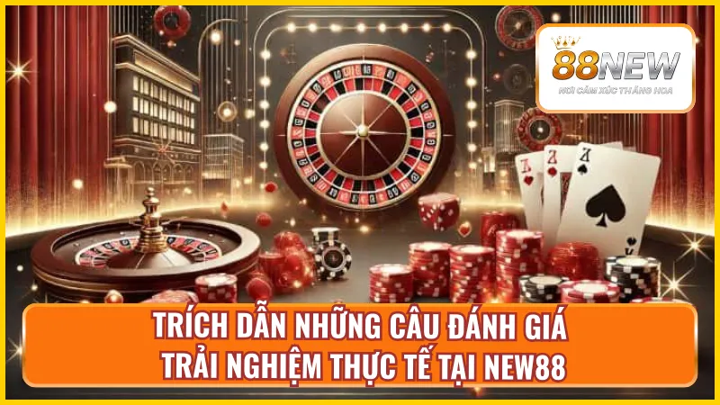 Các câu đánh giá dựa trên trải nghiệm thực tế