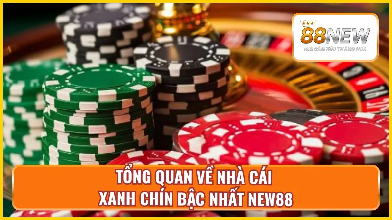 Giới thiệu về thương hiệu New88 chất lượng hàng đầu